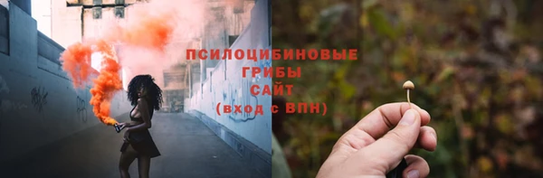 твердый Бородино